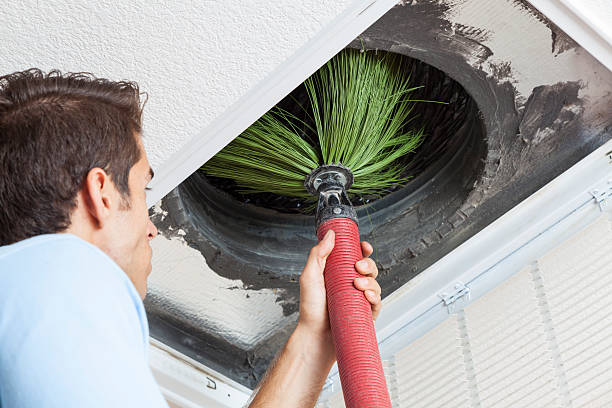 Best Best Air Duct Cleaning Company  in Ely, NV